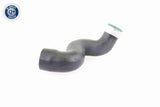 Charge Air Hose - V10-3825