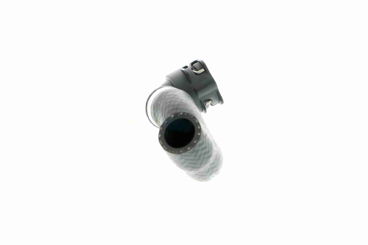 Radiator Hose - V20-1667
