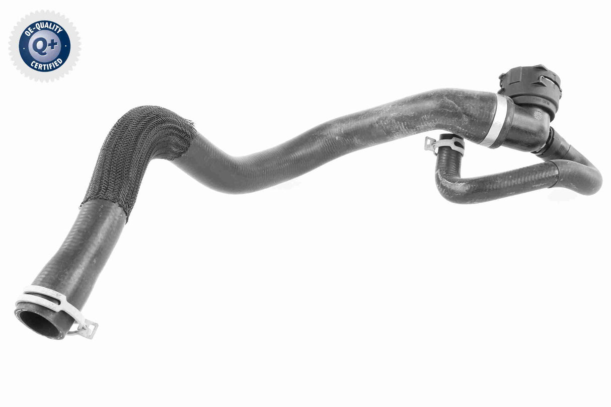 Radiator Hose - V25-1164