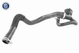 Radiator Hose - V25-1164