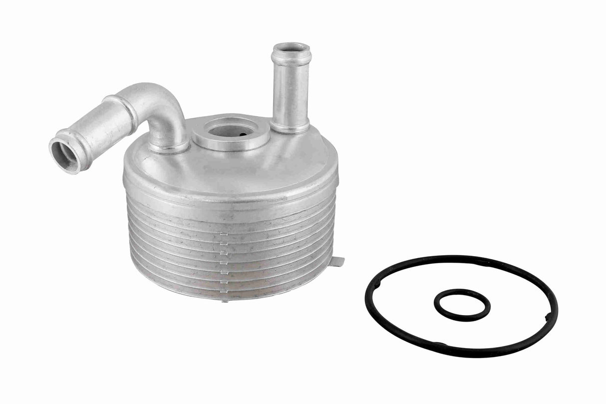 Oil Cooler, automatic transmission - V20-60-1560
