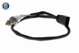 Oxygen Sensor - V10-76-0158
