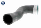 Charge Air Hose - V10-3769
