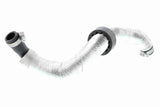 Radiator Hose - V20-2946