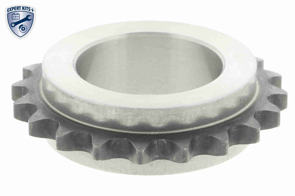 Chain Kit, oil pump drive - V20-4381