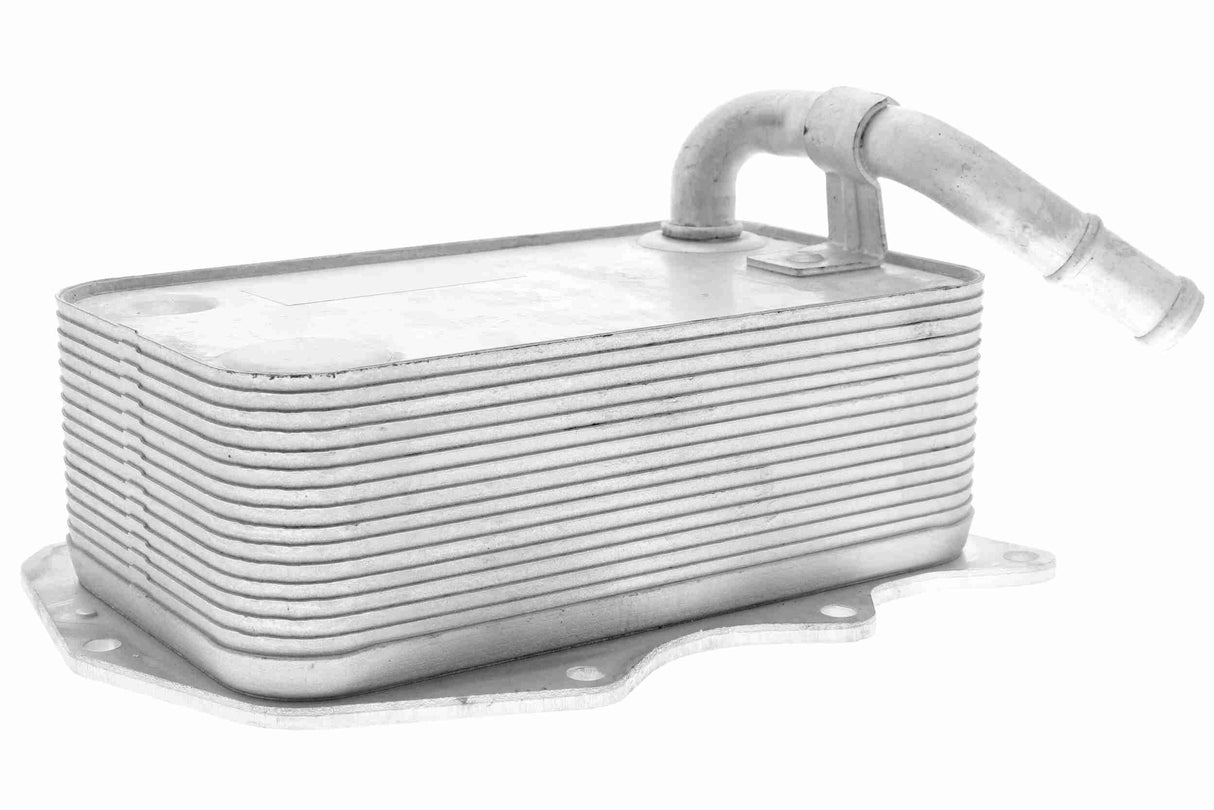 Oil Cooler, engine oil - V15-60-0008