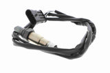 Oxygen Sensor - V24-76-0005