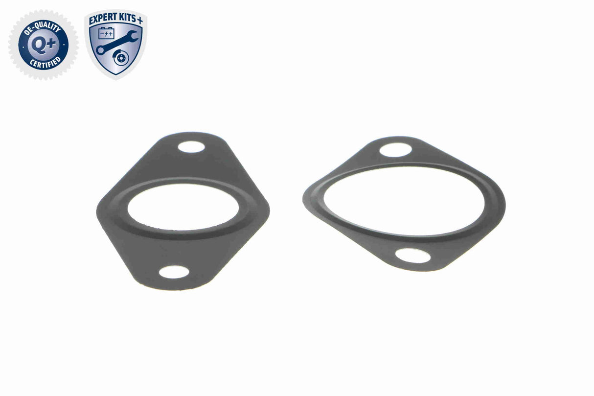 Valve, exhaust gas recirculation - V25-63-0019