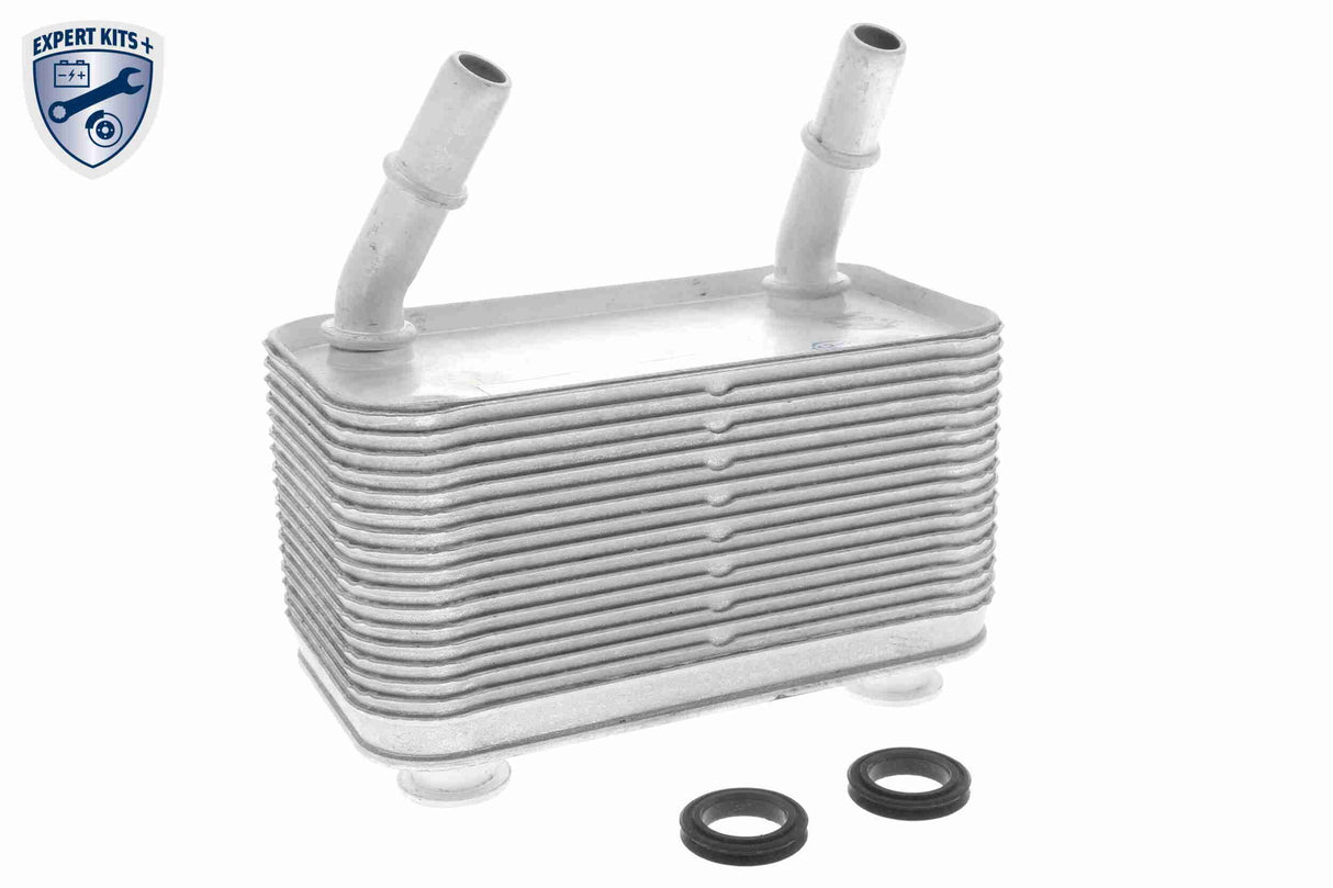 Oil Cooler, automatic transmission - V48-60-0025