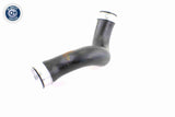 Charge Air Hose - V10-3815