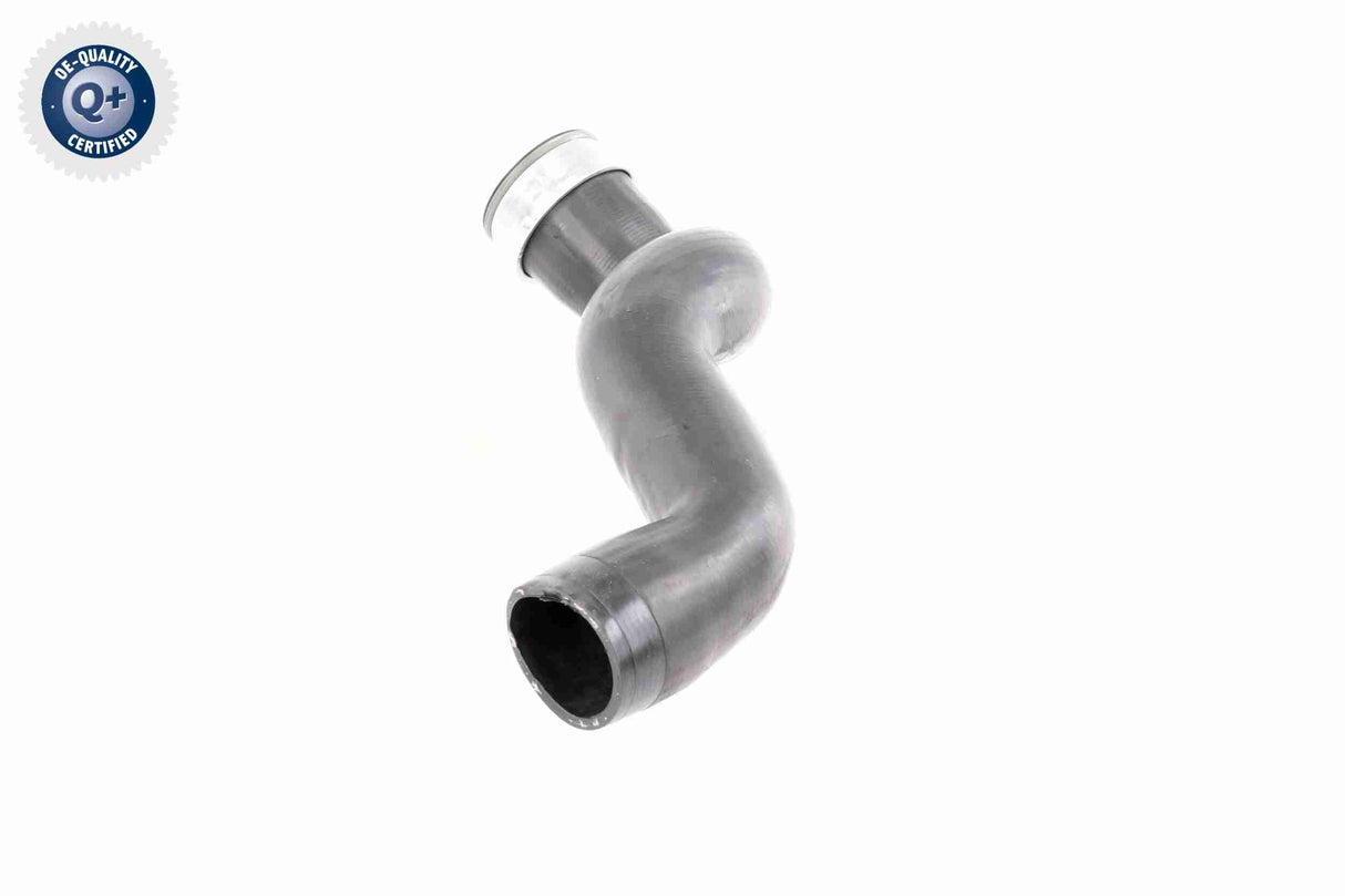 Charge Air Hose - V10-3786