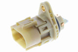 Shift Selector Lever - V10-73-0081