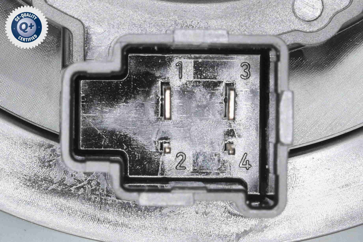 Clock Spring, airbag - V25-72-0391