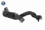 Radiator Hose - V10-8996