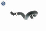 Radiator Hose - V20-1268