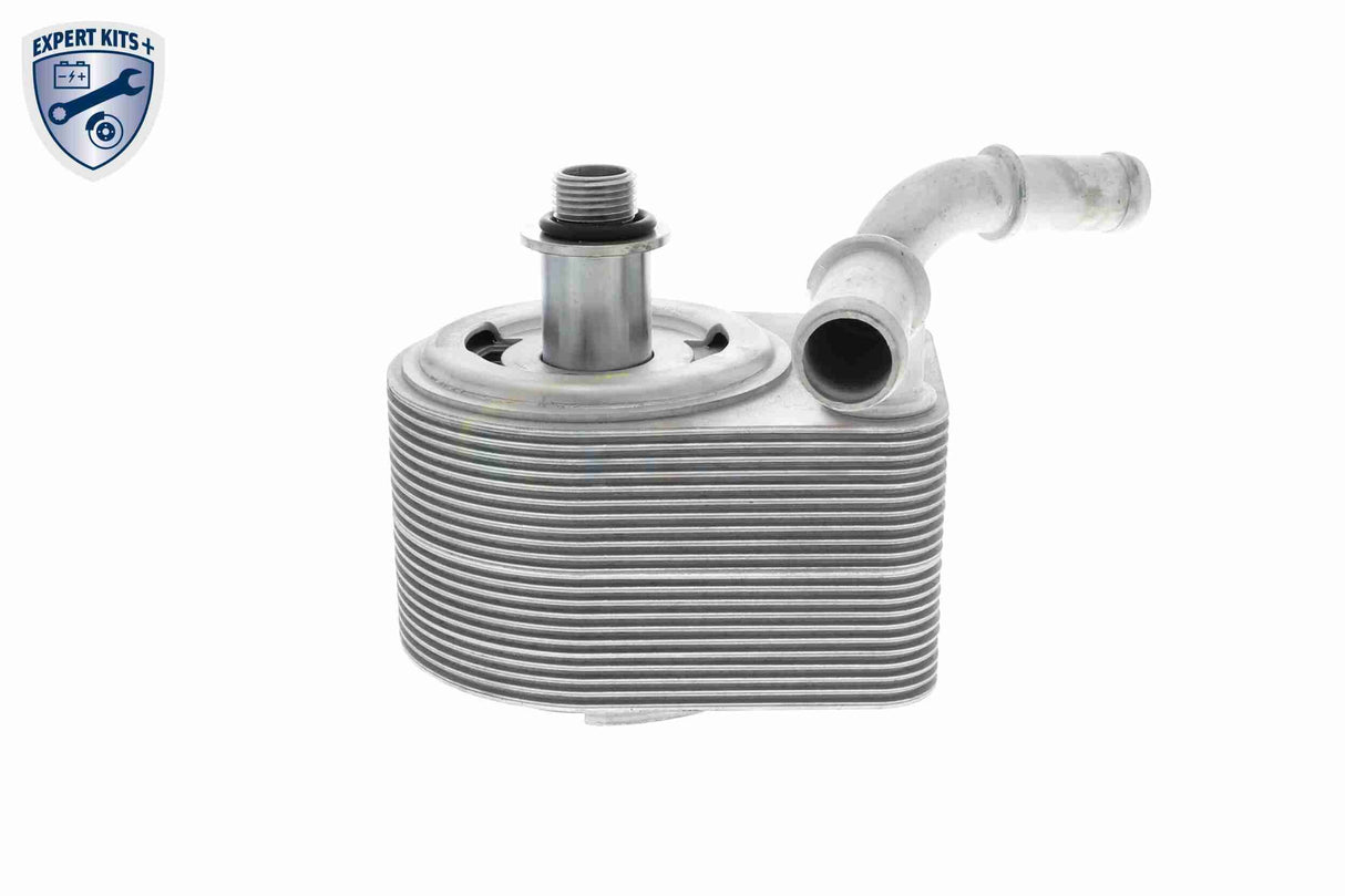 Oil Cooler, engine oil - V25-60-0049