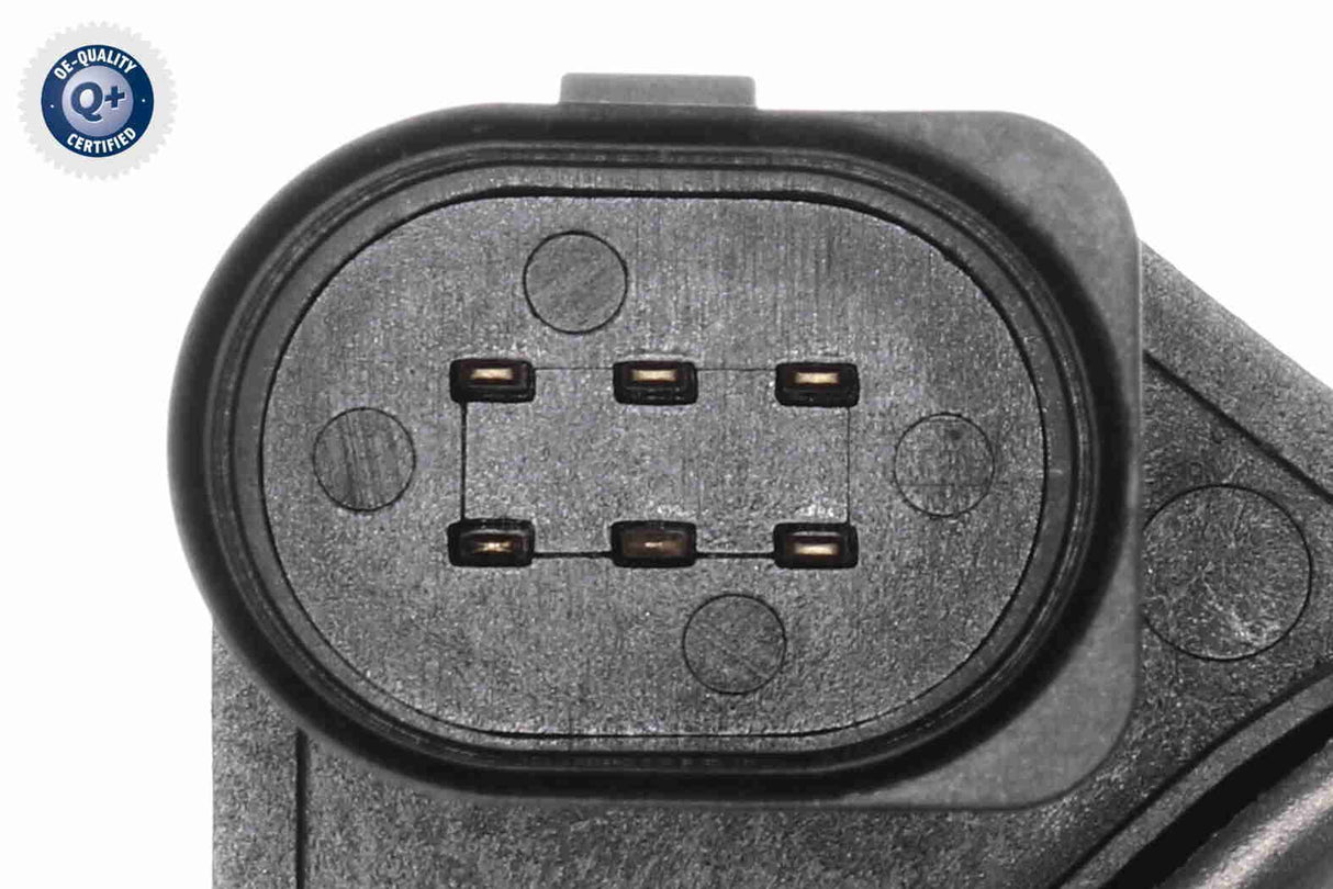 Throttle Body - V10-81-0098