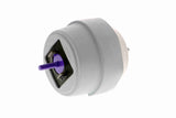 Mounting, engine - V10-2960