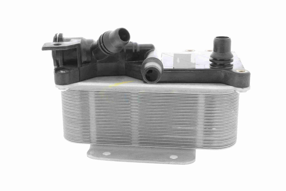 Oil Cooler, engine oil - V20-60-0059
