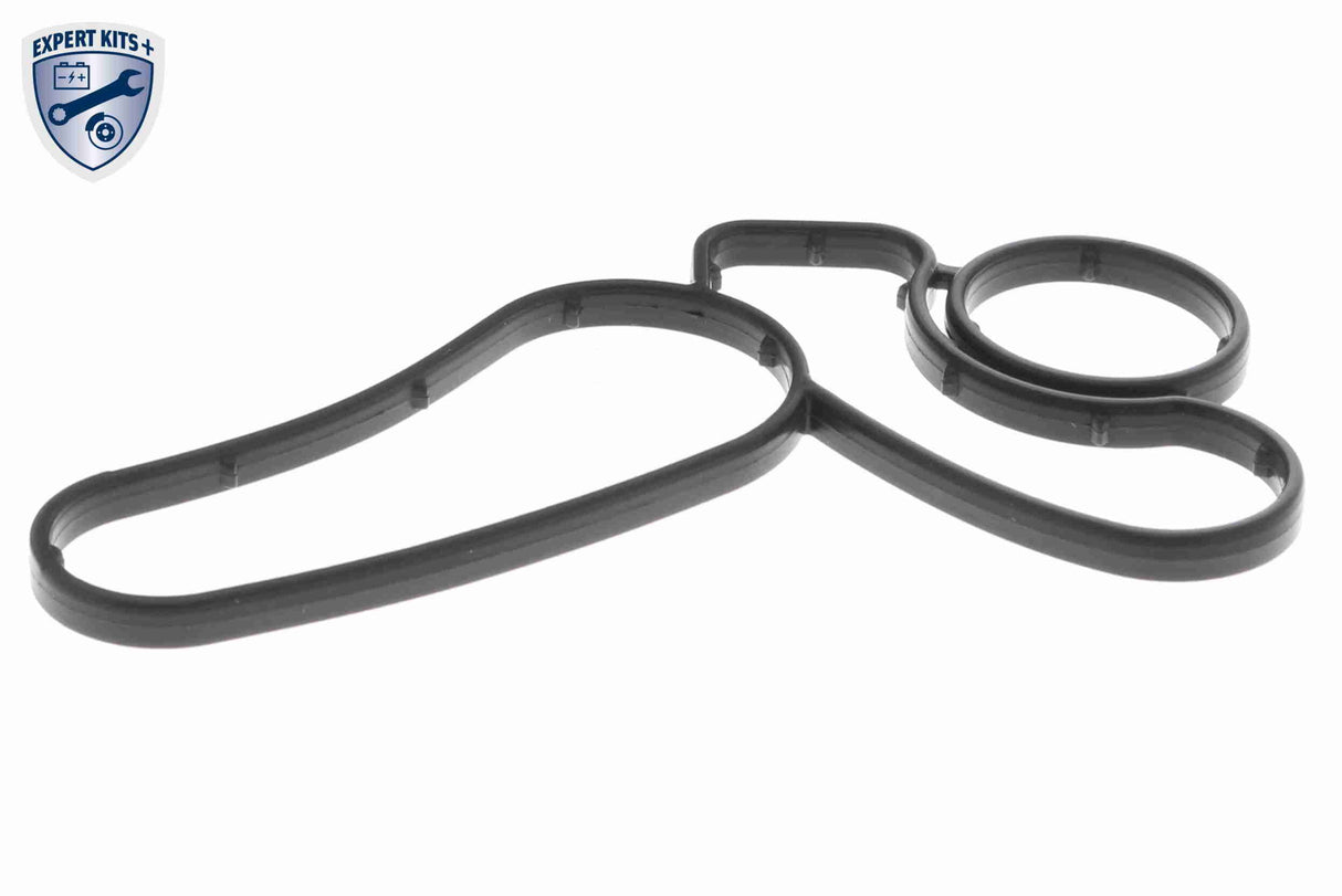Oil Cooler, engine oil - V20-60-0042