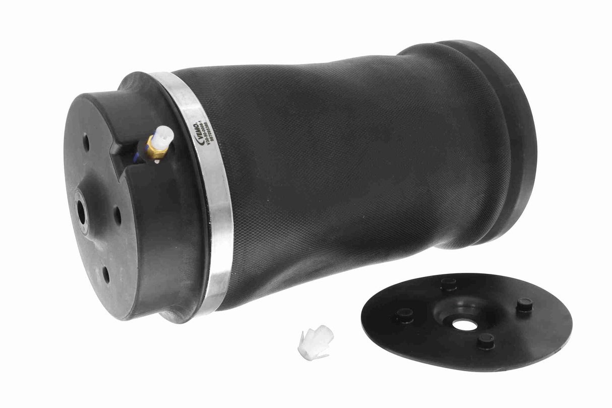 Air Suspension Strut - V30-50-0008-1