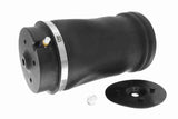 Air Suspension Strut - V30-50-0008-1