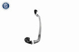 Radiator Hose - V48-0134