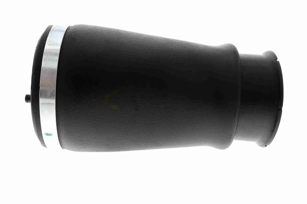 Air Suspension Strut - V20-50-0019-1