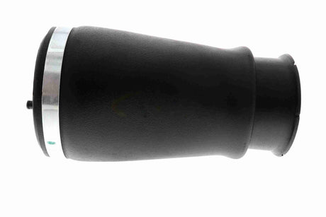 Air Suspension Strut - V20-50-0019-1
