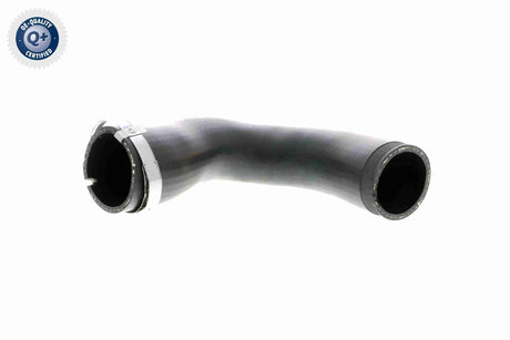Charge Air Hose - V10-2830