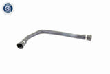 Radiator Hose - V20-2399