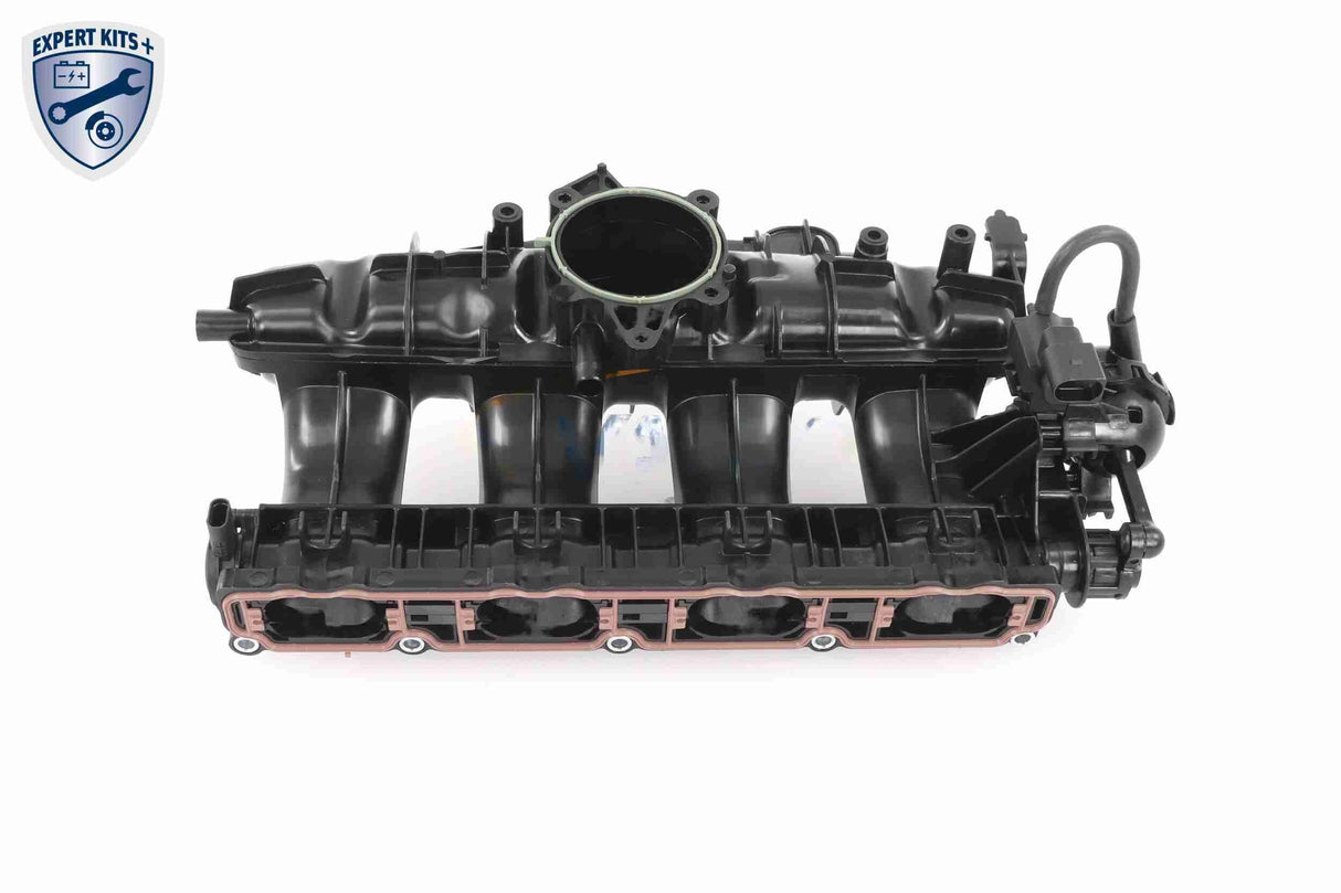 Intake Manifold Module - V10-6770