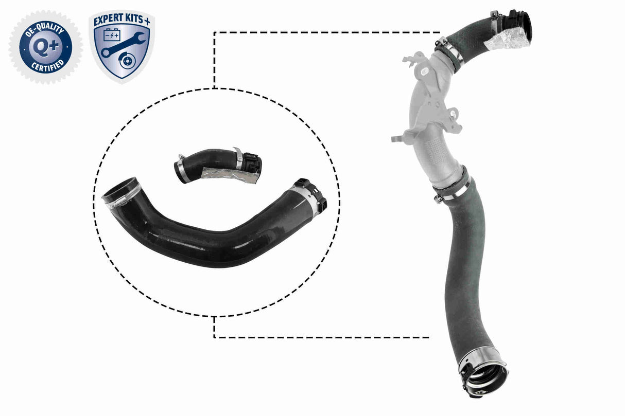 Charge Air Hose - V46-1025