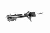 Shock Absorber - V10-1702