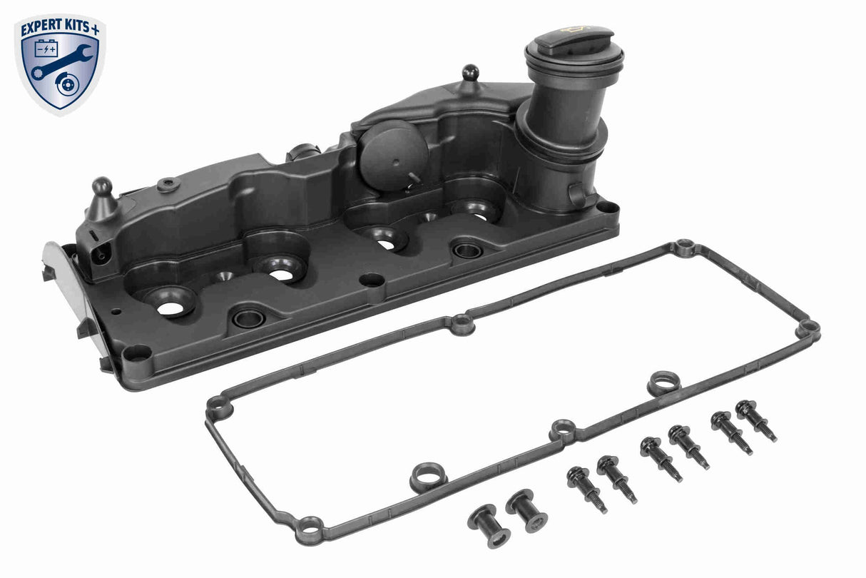 Cylinder Head Cover - V10-6736