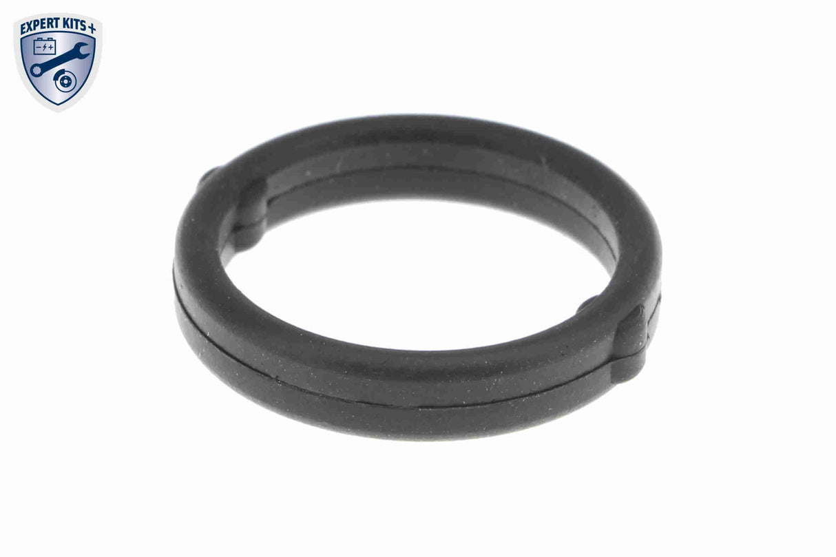 Oil filter module - V24-60-0022