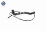 Radiator Hose - V10-4809