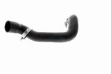 Radiator Hose - V20-2463