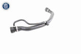 Radiator Hose - V20-1317