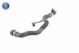 Radiator Hose - V20-1695