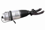 Air Suspension Strut - V10-50-0005