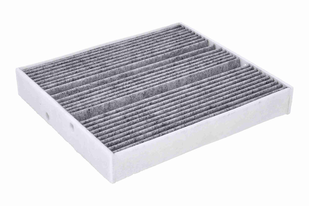 Filter, cabin air - V30-31-0001