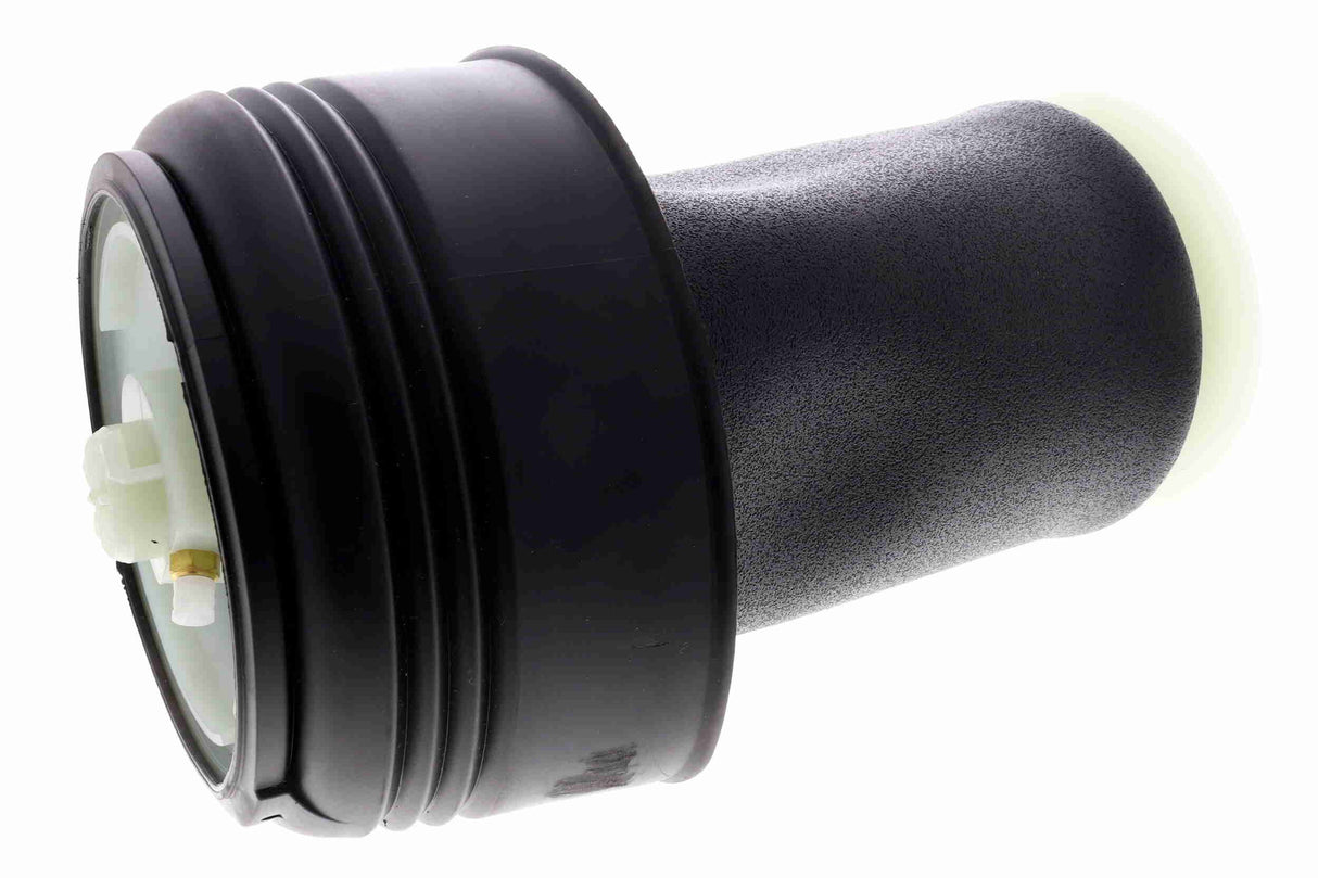 Air Suspension Strut - V20-50-0008-1