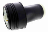 Air Suspension Strut - V20-50-0008-1