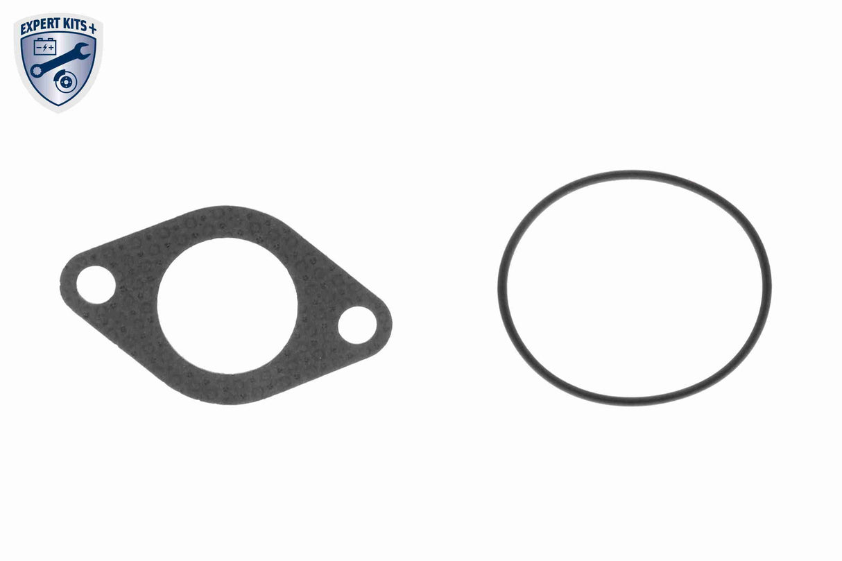 Valve, exhaust gas recirculation - V10-63-0011-1