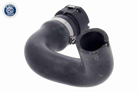Radiator Hose - V24-1428