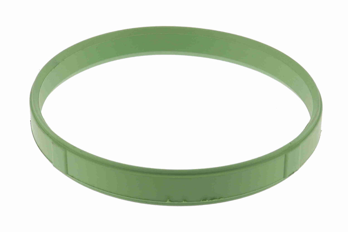 Gasket, throttle body - V20-81-0034