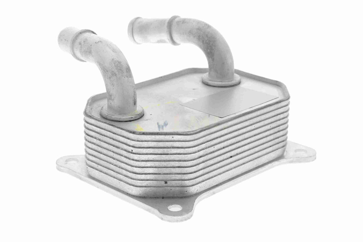 Oil Cooler, engine oil - V25-60-0041