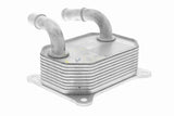 Oil Cooler, engine oil - V25-60-0041