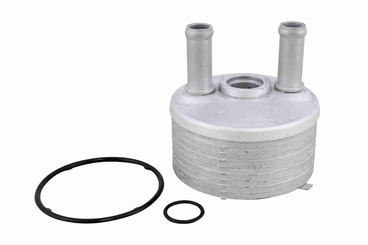 Oil Cooler, automatic transmission - V20-60-0101